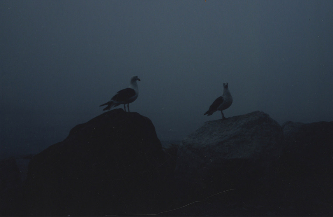 North / "Central" / Night