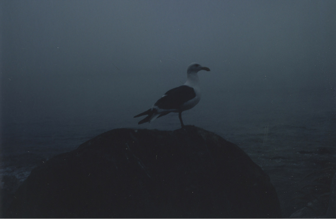 North / "Central" / Night